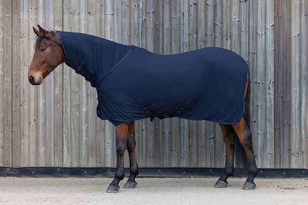 Braunes Pferd in navyblauer Abschwitzdecke light der Covalliero Herbst Winter Kollektion