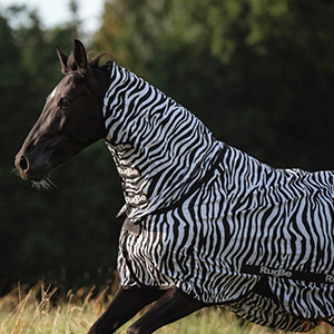 Ein schwarzes Pferd auf einer Wiese mit der Fliegenschutzdecke Rugby Zebra