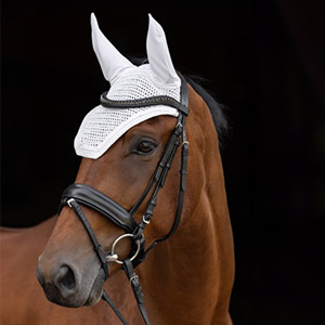 Ein braunes Pferd mit einer weißen Fliegenschutzhaube