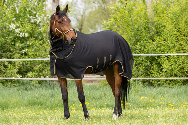 Fliegendecke für Pferde der neuen Frühjahr/Sommer Trendkollektion von Covalliero