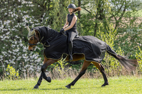 Ausreitdecke für Pferde der neuen Frühjahr/Sommer Trendkollektion von Covalliero