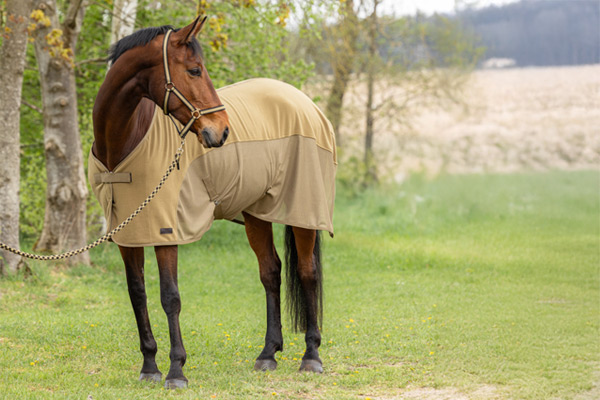 Abschwitzdecke für Pferde der neuen Frühjahr/Sommer Trendkollektion von Covalliero