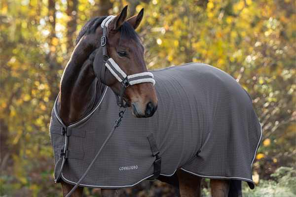 Abschwitzdecke der Herbst/Winter Trendkollektion von Covalliero