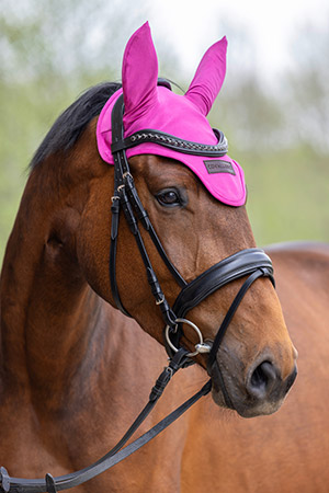 Pferdehaube in pink