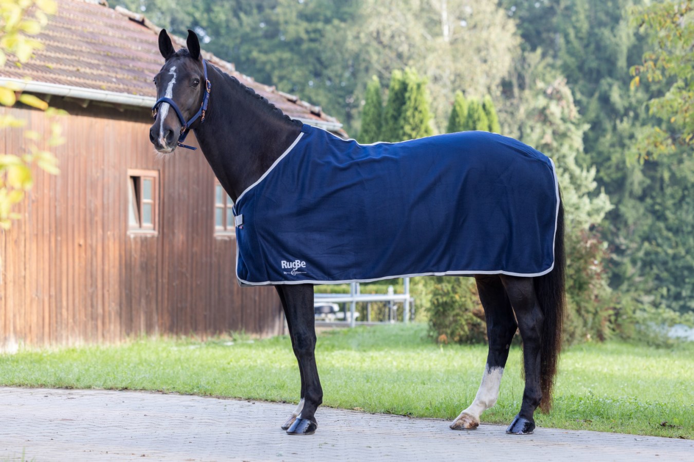 Fleece Blanket RugBe Economic,Hor  - Covalliero