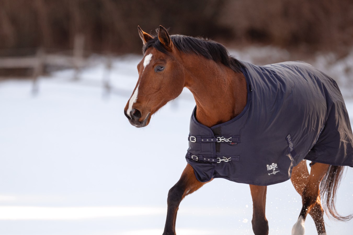 HORSE BLANKET RESEARCH ウールケープ Outdoor Horse Blanket RugBe,Horse  - Covalliero