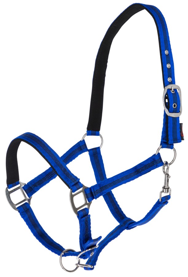 Martingale Kerbl Pour Poney | Réglable Et Coulissante | Évite Les Coups De Tête | Bouclerie Inox