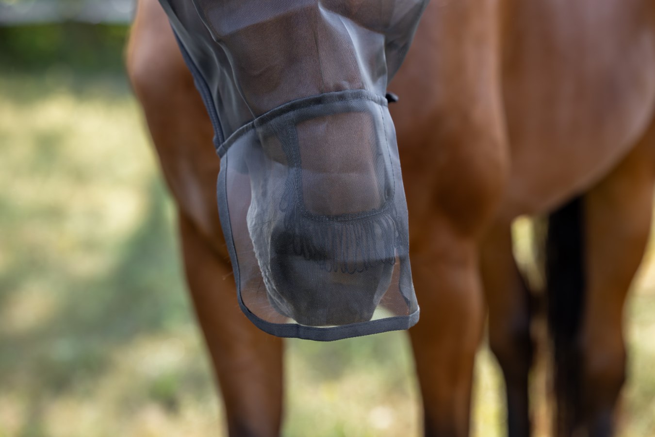 Masque Anti-insectes Pour Cheval - Tissu Maille PVC - Rembourrage Polaire - Fermeture Velcro