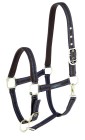 Licol cheval Royal